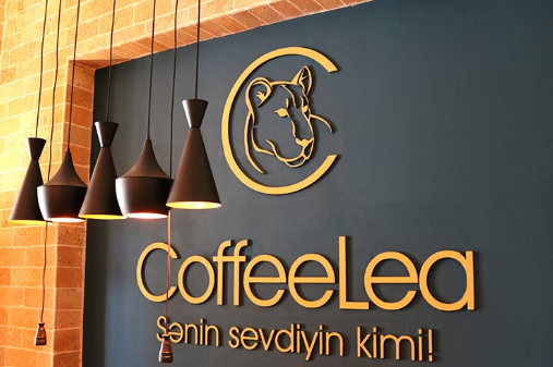 Daxili reklam daşıyıcıları layihəsi