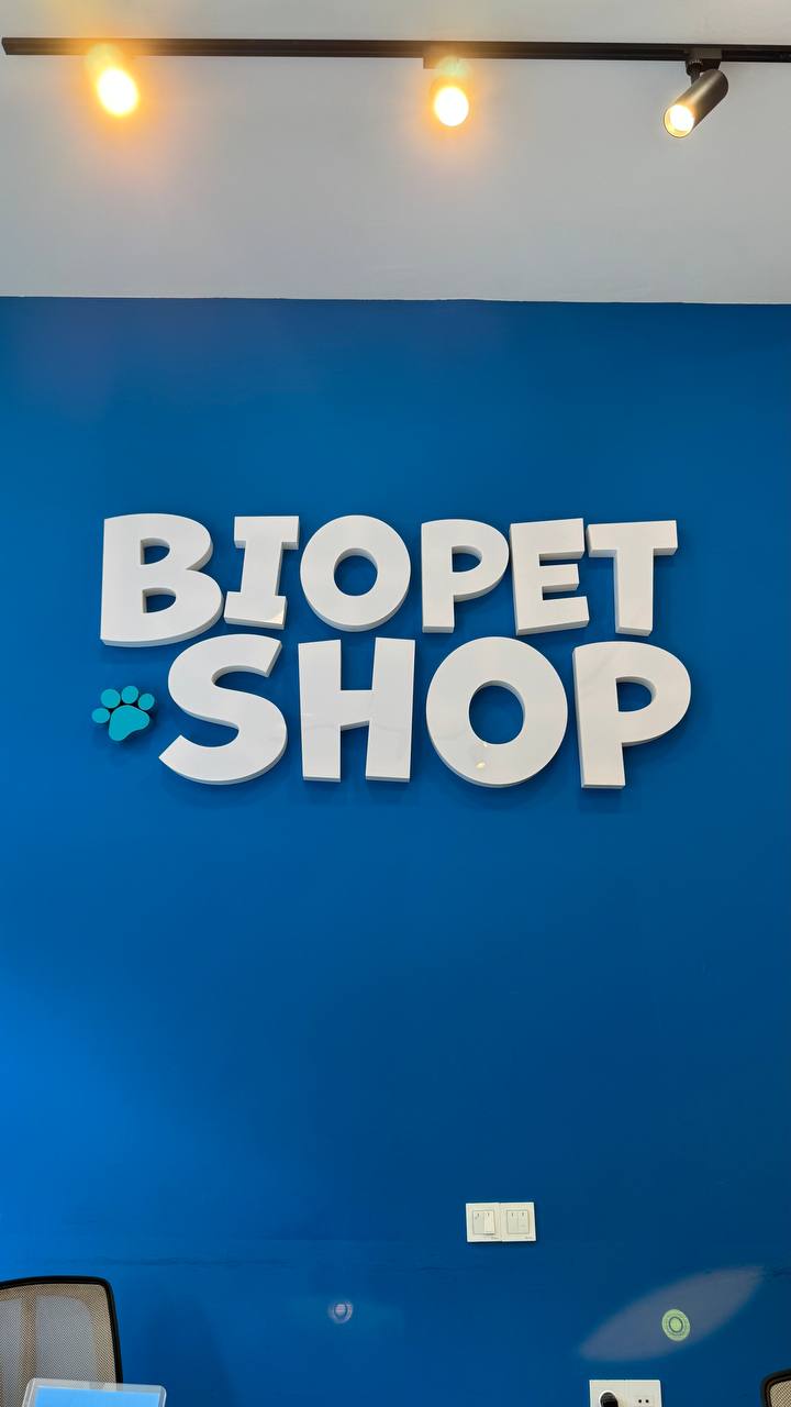 Daxili reklam daşıyıcıları layihəsi