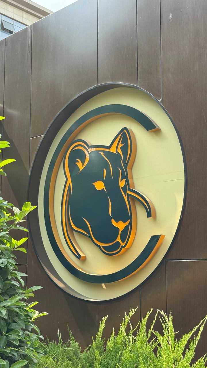 Daxili reklam daşıyıcıları layihəsi